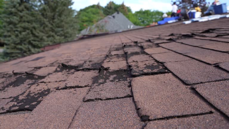 Best Roof Moss and Algae Removal  in Simi Valley, CA